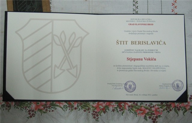 Nagrada Grada Slavonskog Broda, Štit Berislavića